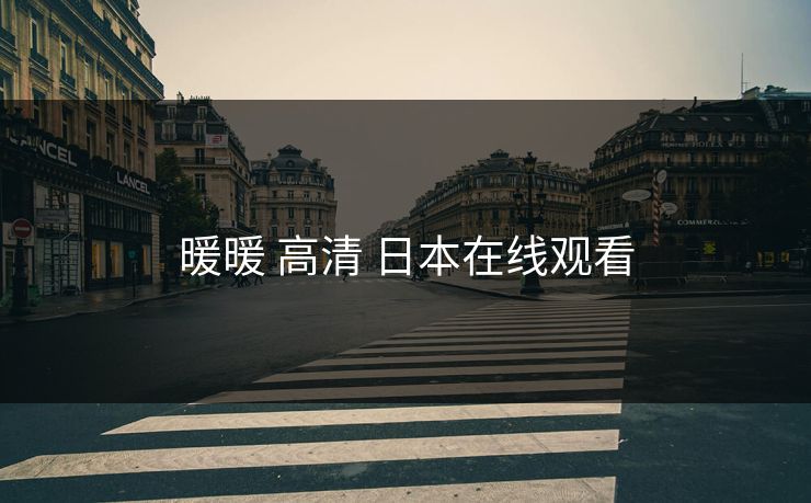 暖暖 高清 日本在线观看