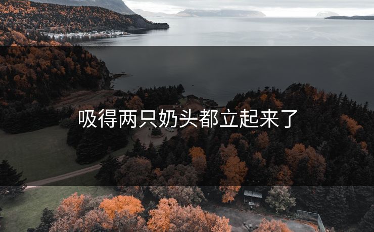 吸得两只奶头都立起来了